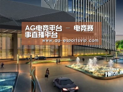 案例展示二(图1)