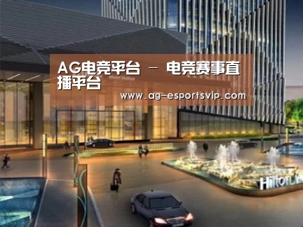 案例展示二