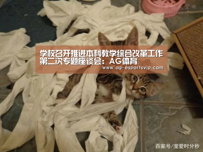 学校召开推进本科教学综合改革工作第二次专题座谈会:AG体育(图1) AG足球