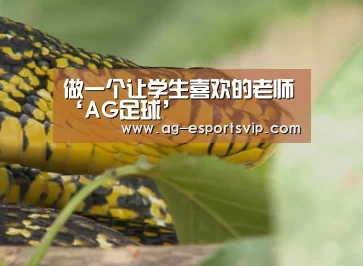 AG篮球