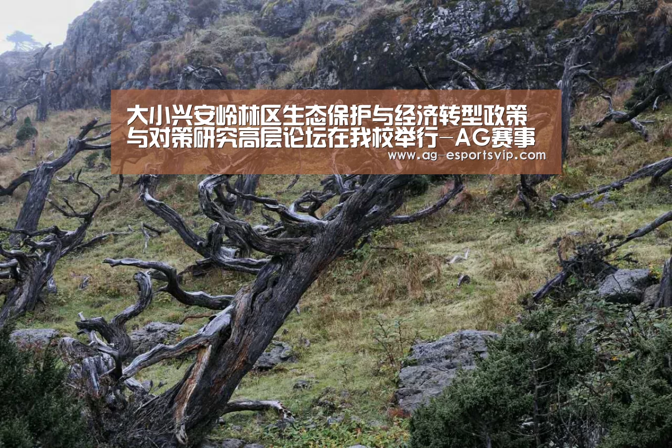 AG足球