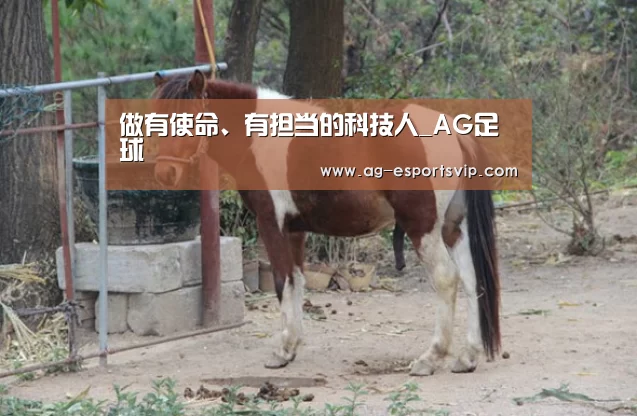 做有使命、有担当的科技人_AG足球(图1) AG足球