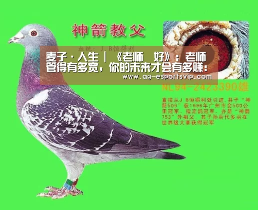 AG足球